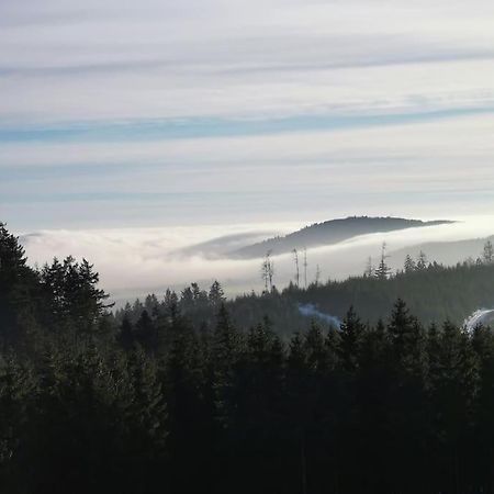 Fewo Albrecht Direkt Am Diemelsteig Diemelsee Exterior foto