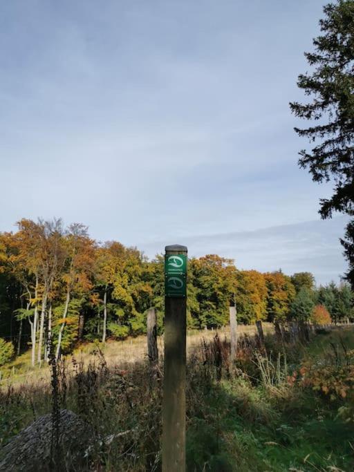 Fewo Albrecht Direkt Am Diemelsteig Diemelsee Exterior foto